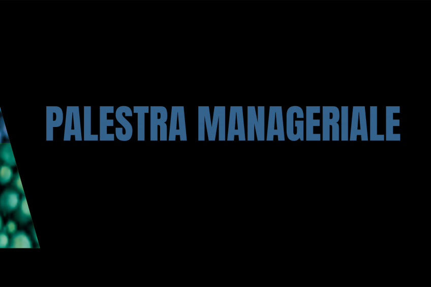 Palestra Manageriale 